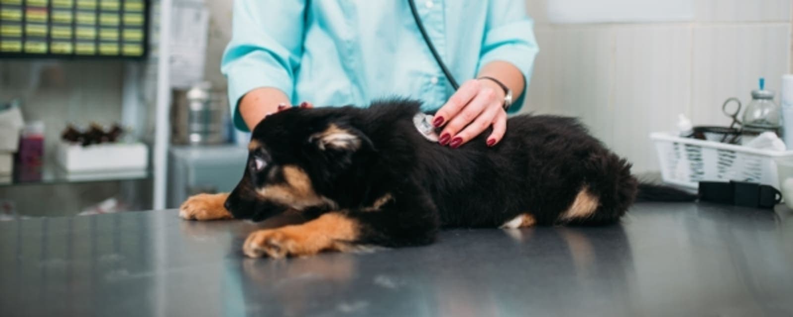 Aloropi Veterinary Center